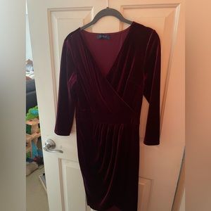 NWT InsNova Maroon Velvet Dress